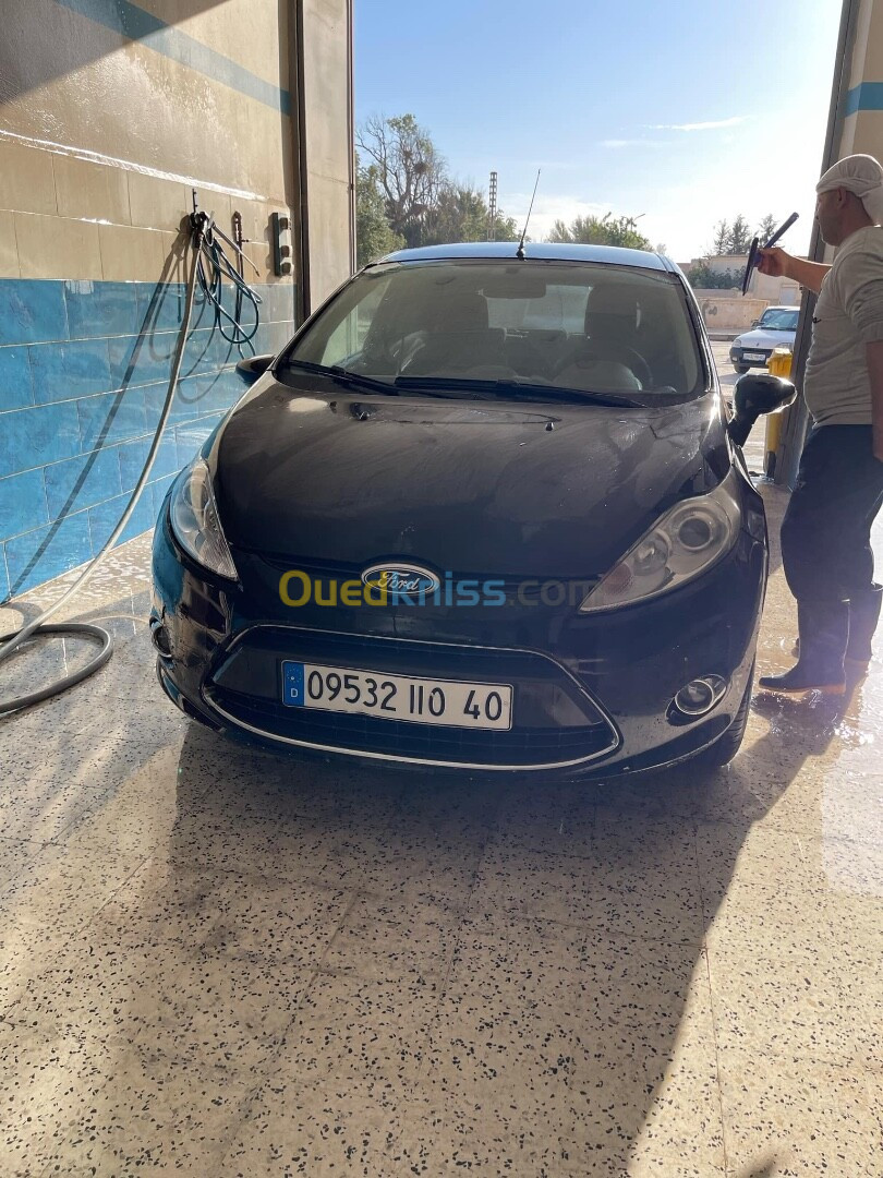 Ford Fiesta 2010 