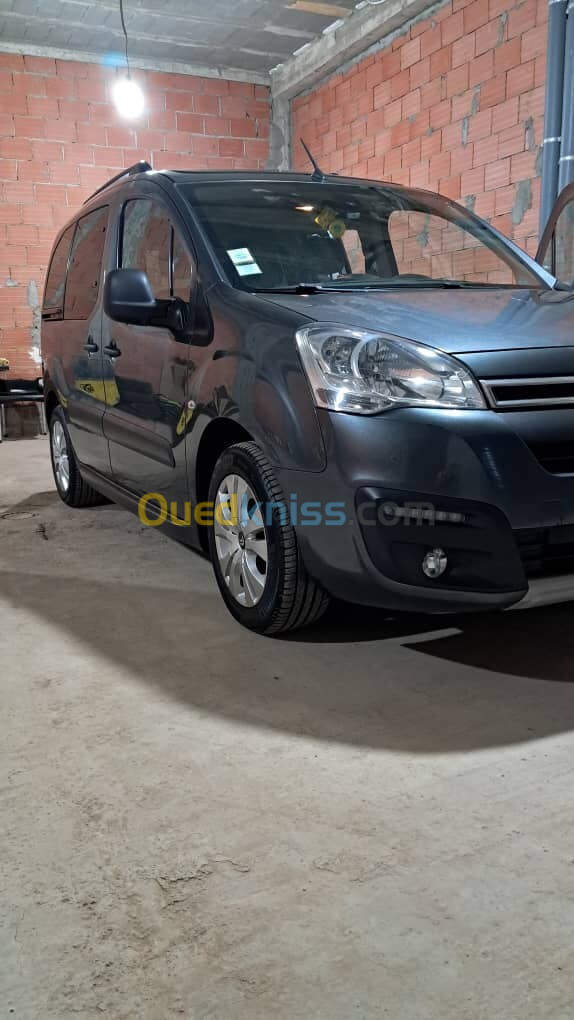 Citroen Berlingo Multispace 2019 XTR Plus