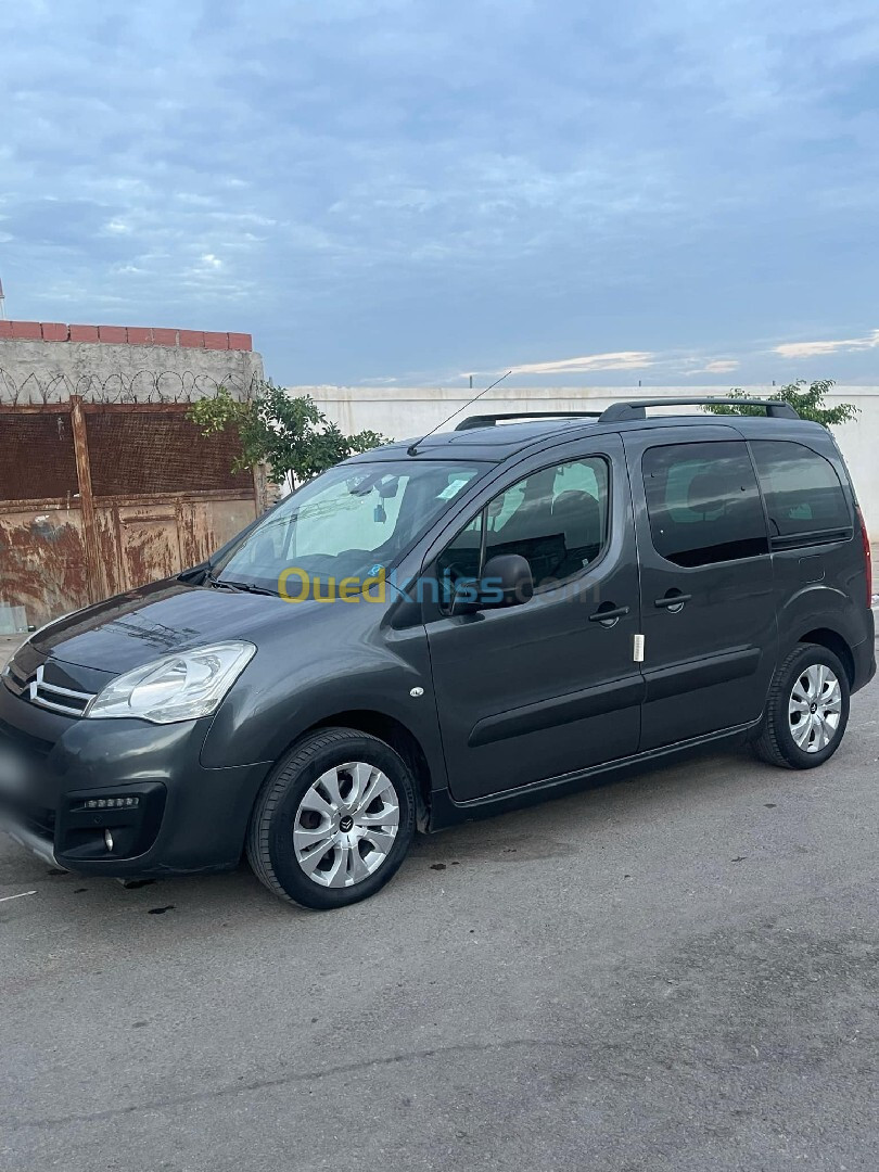 Citroen Berlingo 2017 Berlingo