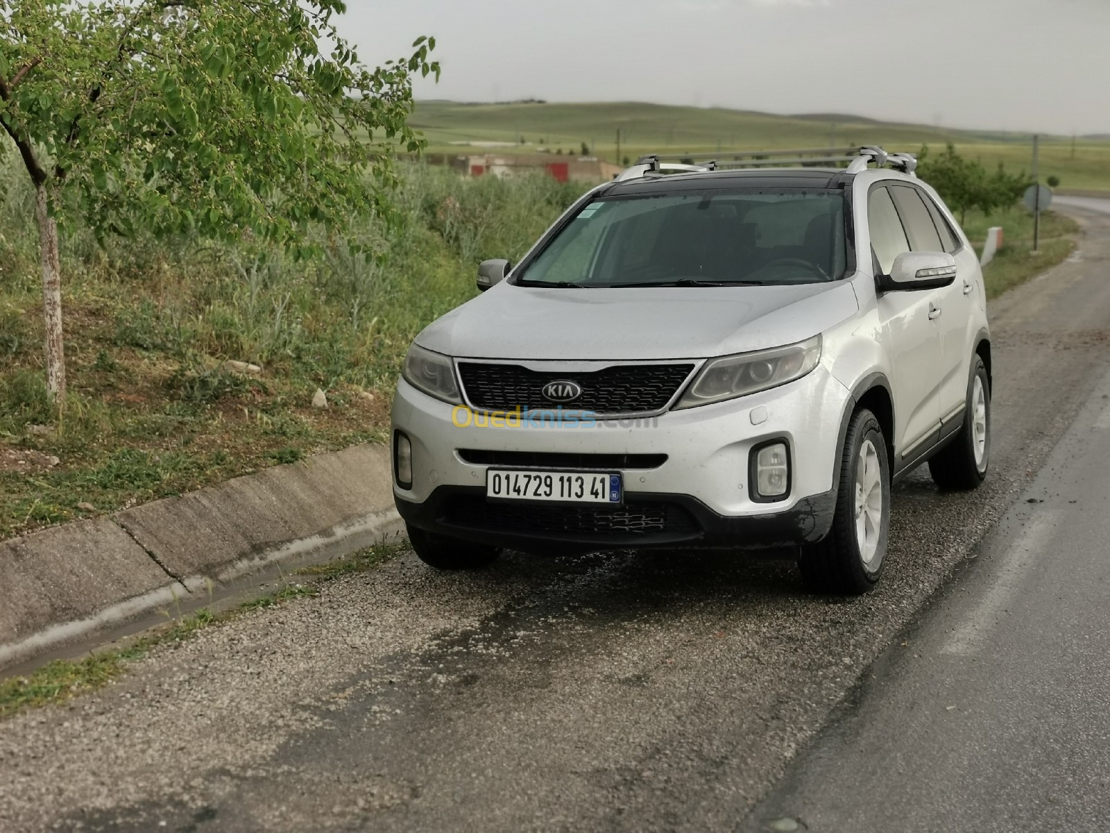 Kia Sorento 2013 