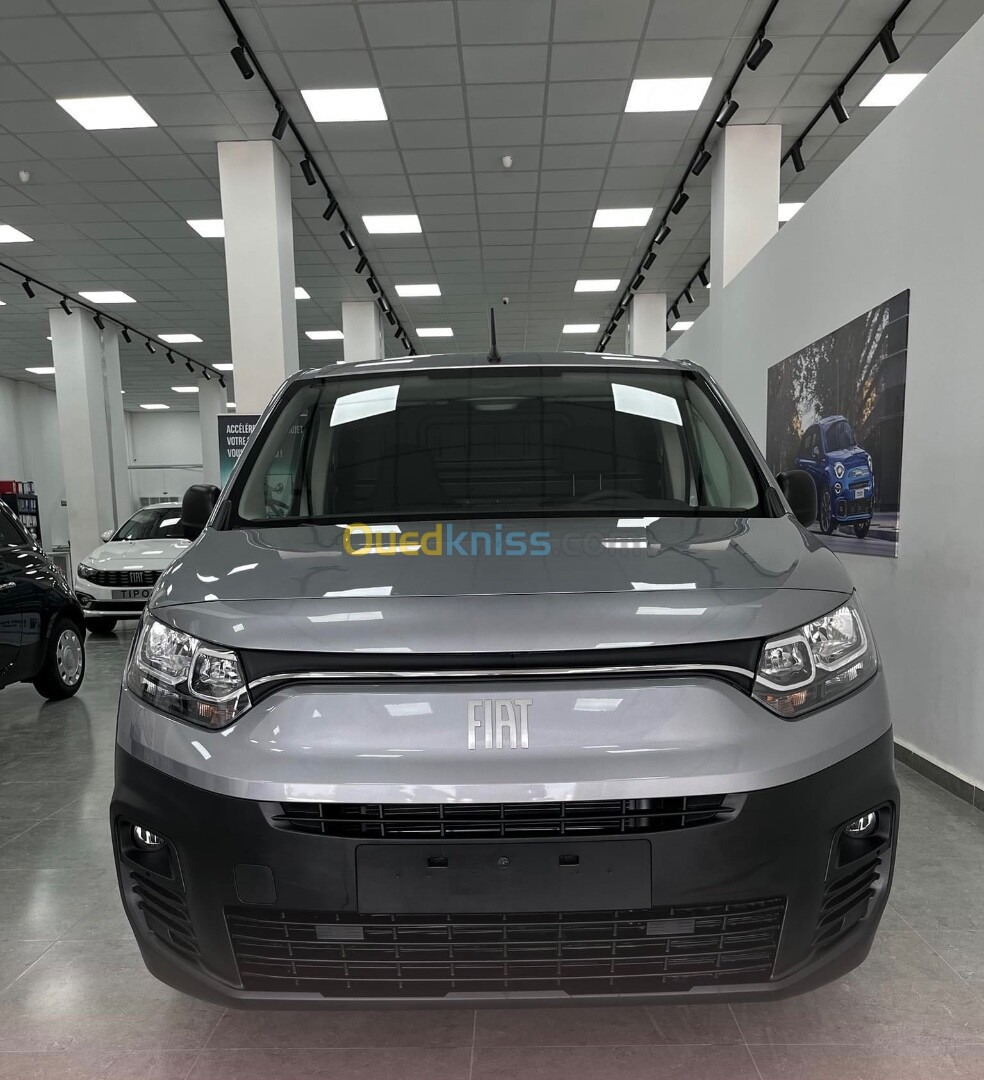 Fiat doblo 2024 Professional