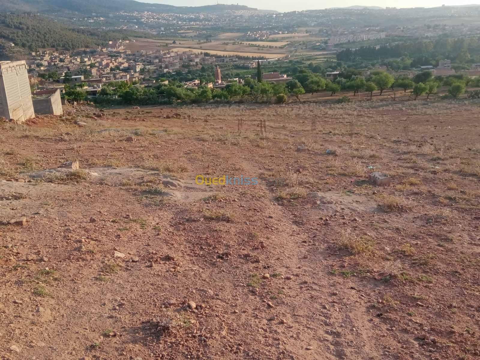 Vente Terrain Tlemcen Chetouane