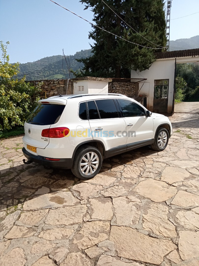 Volkswagen Tiguan 2014 Life