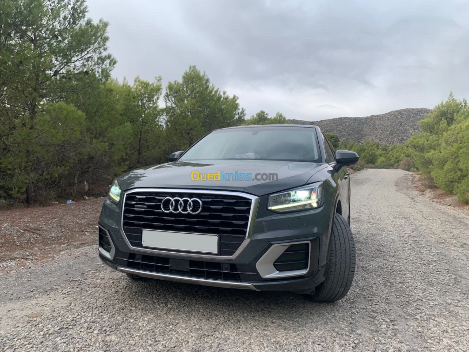 Audi Q2 2020 Design luxe