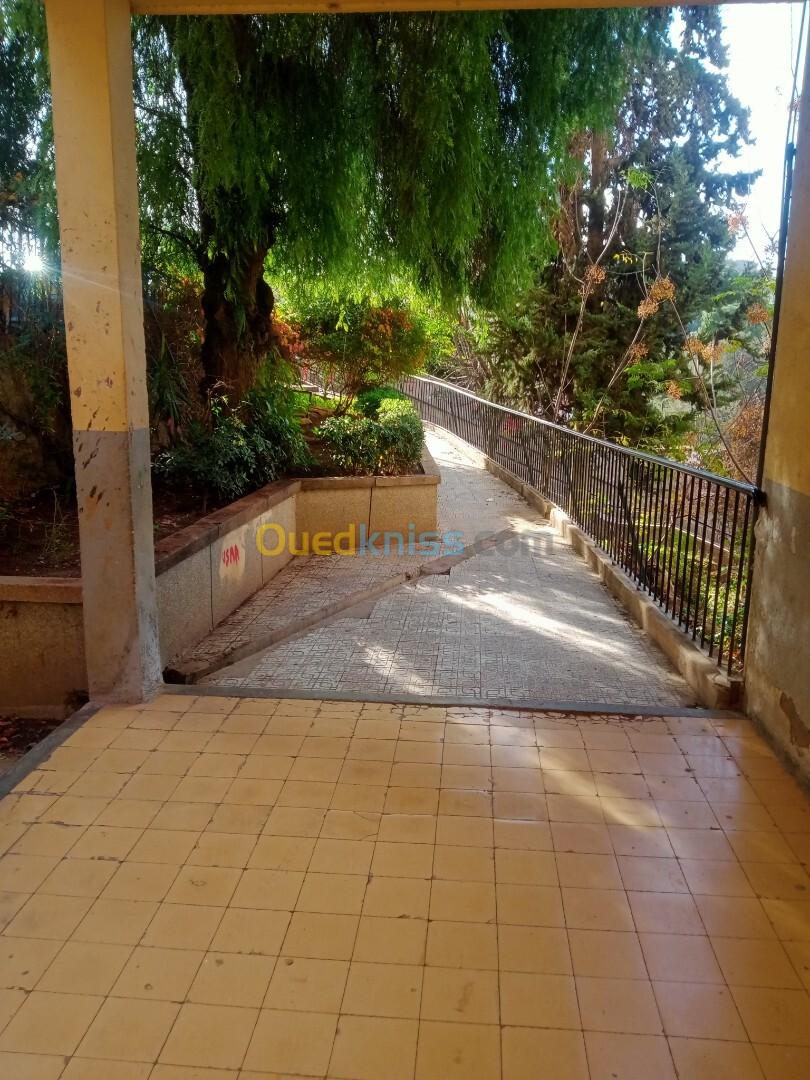 Location Appartement Alger Hydra