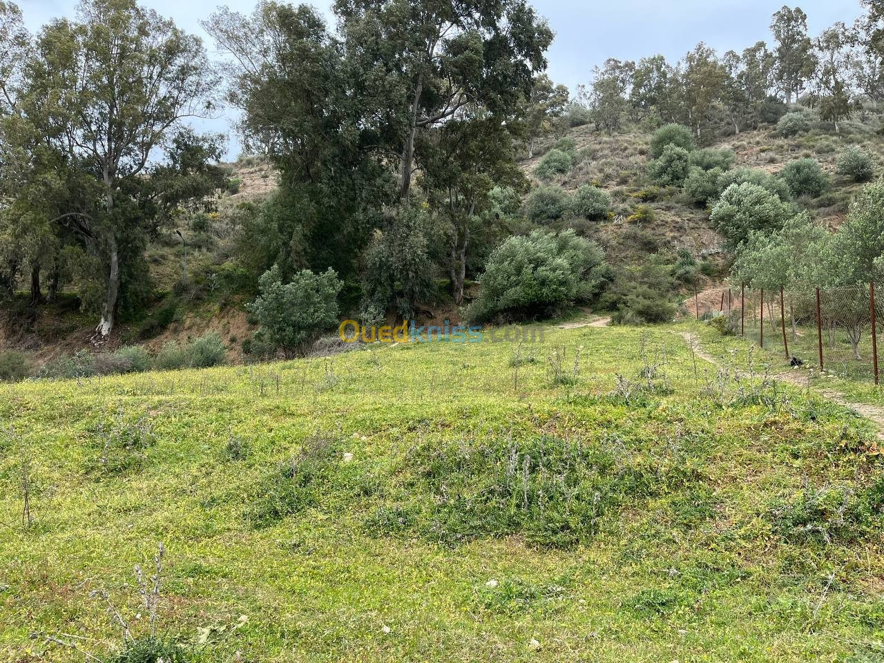 Vente Terrain Boumerdès Ouled aissa