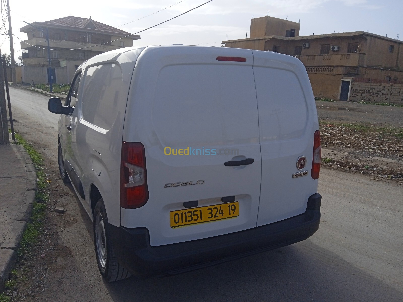 Fiat Doblo 2024 Brofesslonal