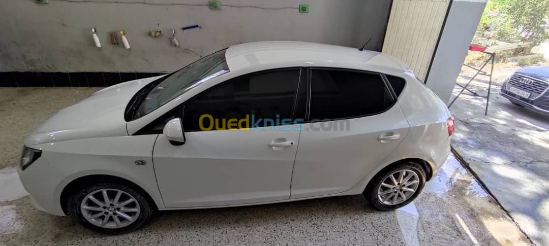 Seat Ibiza 2013 Fully