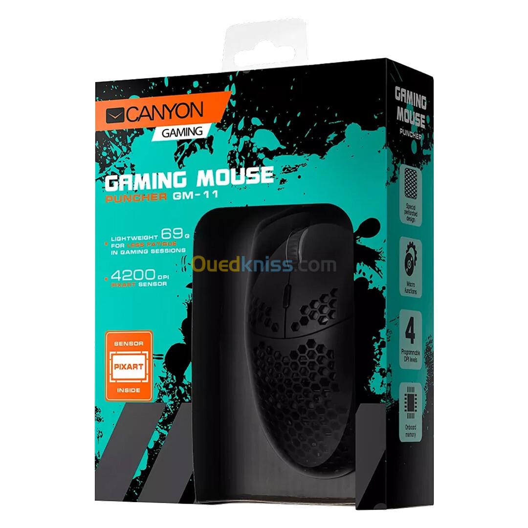 SOURIS CANYON GM-11