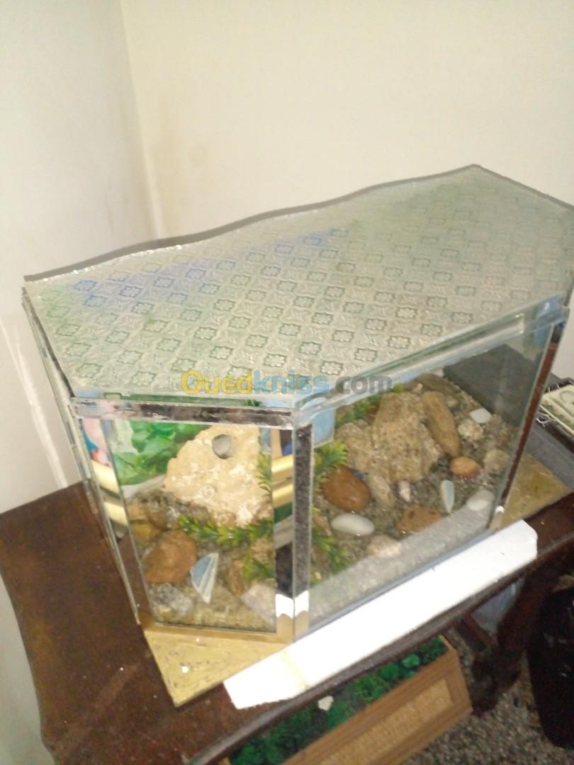 DEUX AQUARIUMS BON PRIX