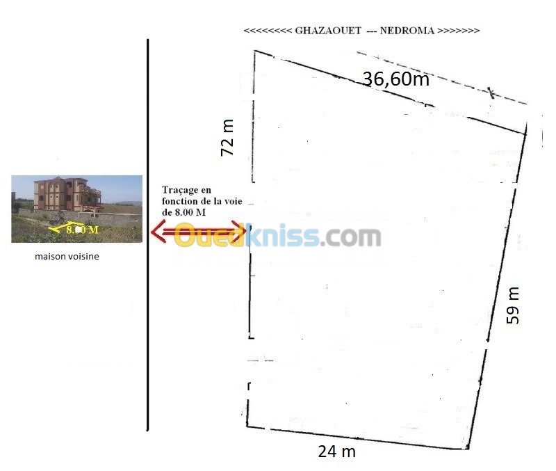 Vente Terrain Tlemcen Nedroma