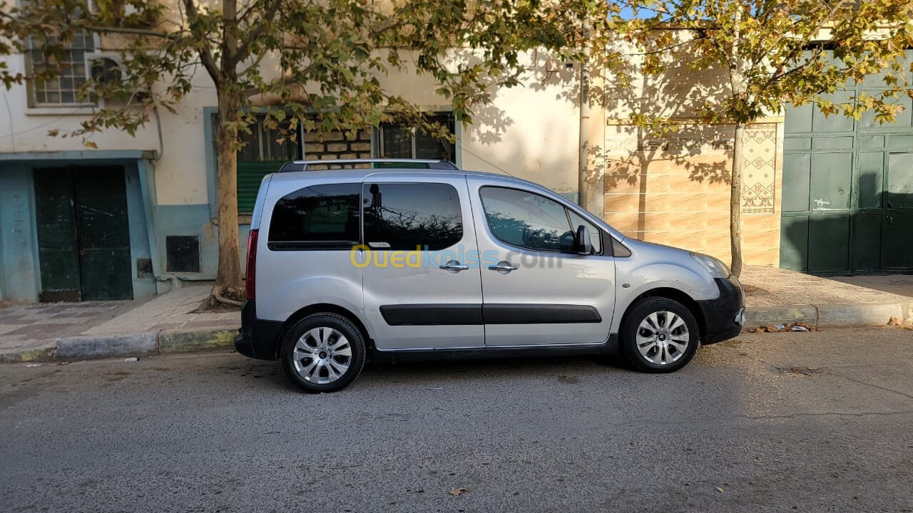 Citroen Berlingo 2010 Berlingo