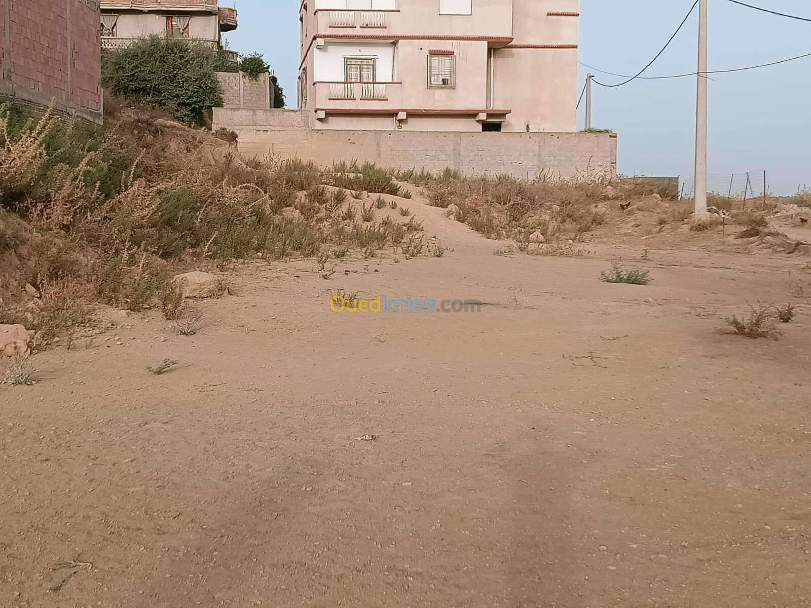 Vente Terrain Blida Bouinan