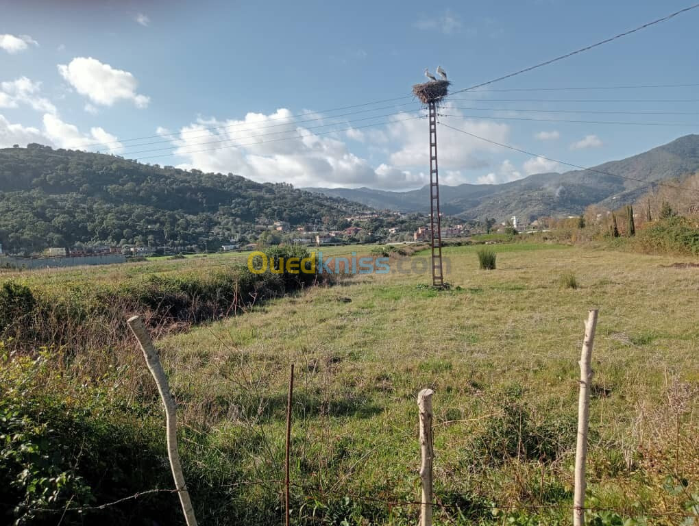 Vente Terrain Jijel Djemaa beni habibi