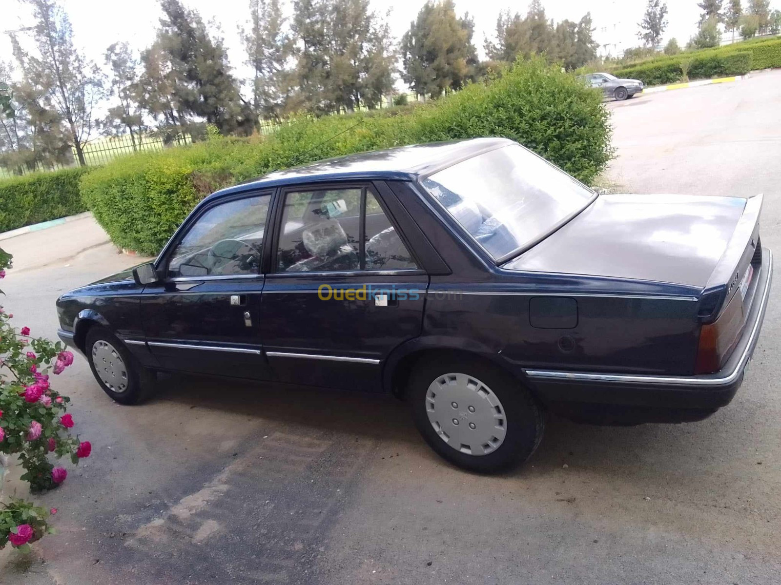 Peugeot 505 1991 505