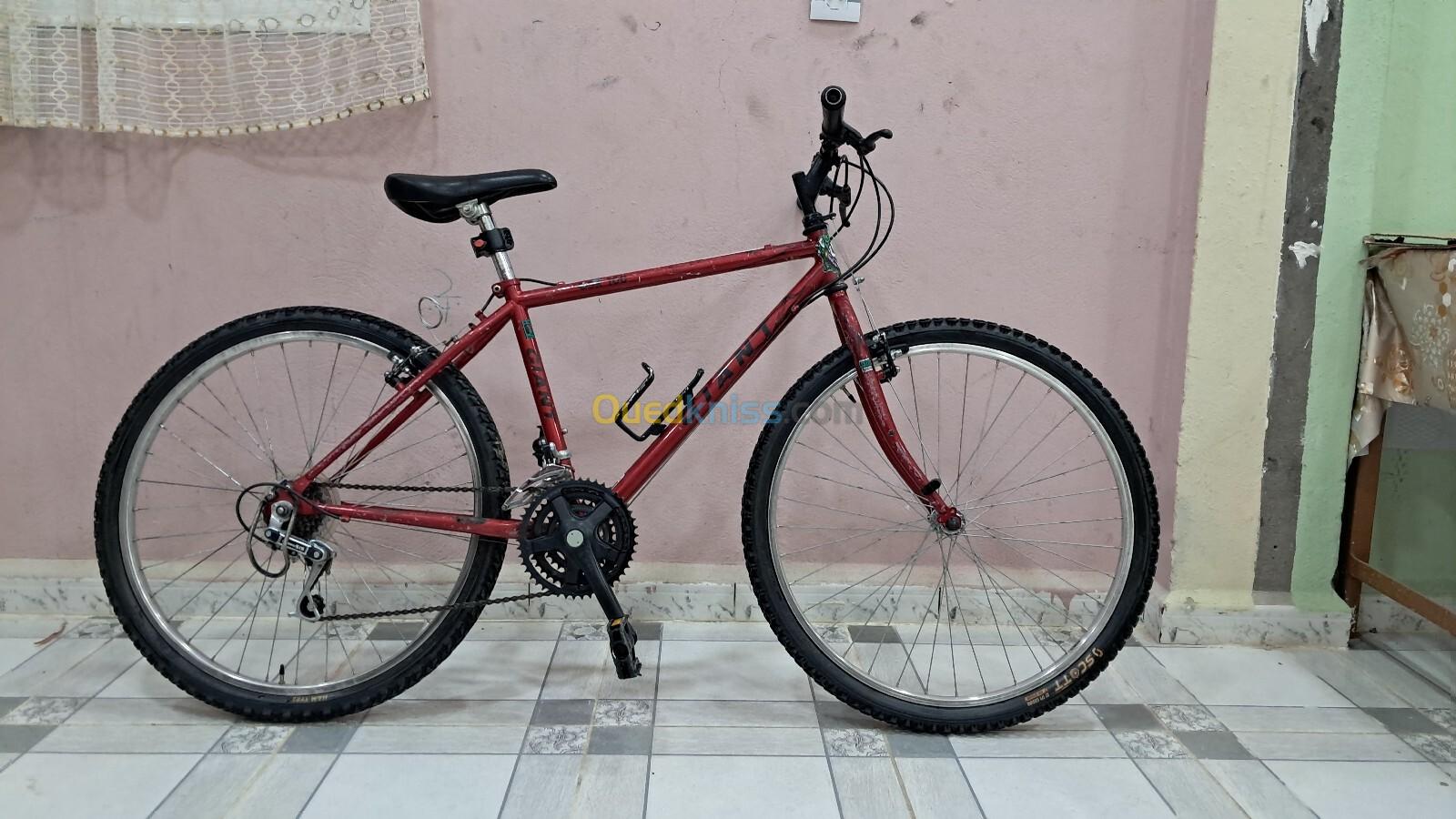 Velo geant gsr 100