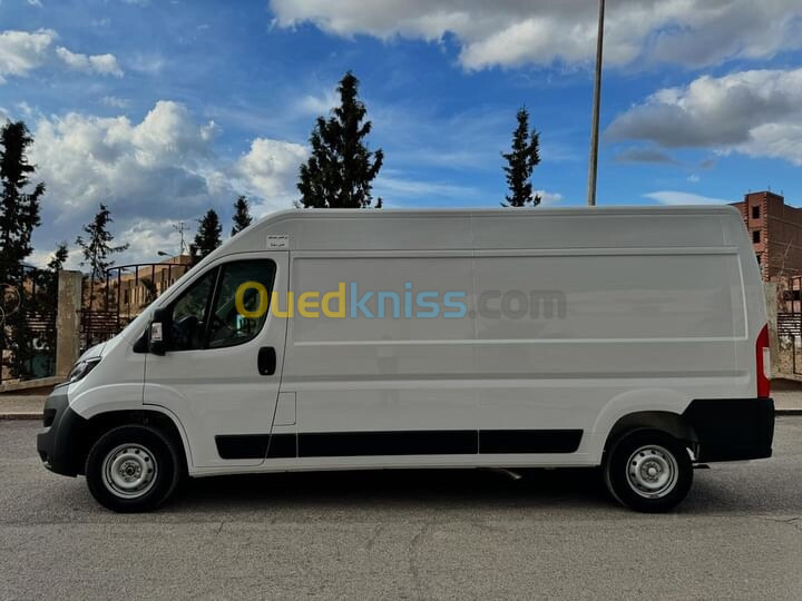 Fiat Professional Ducato 2024 L3