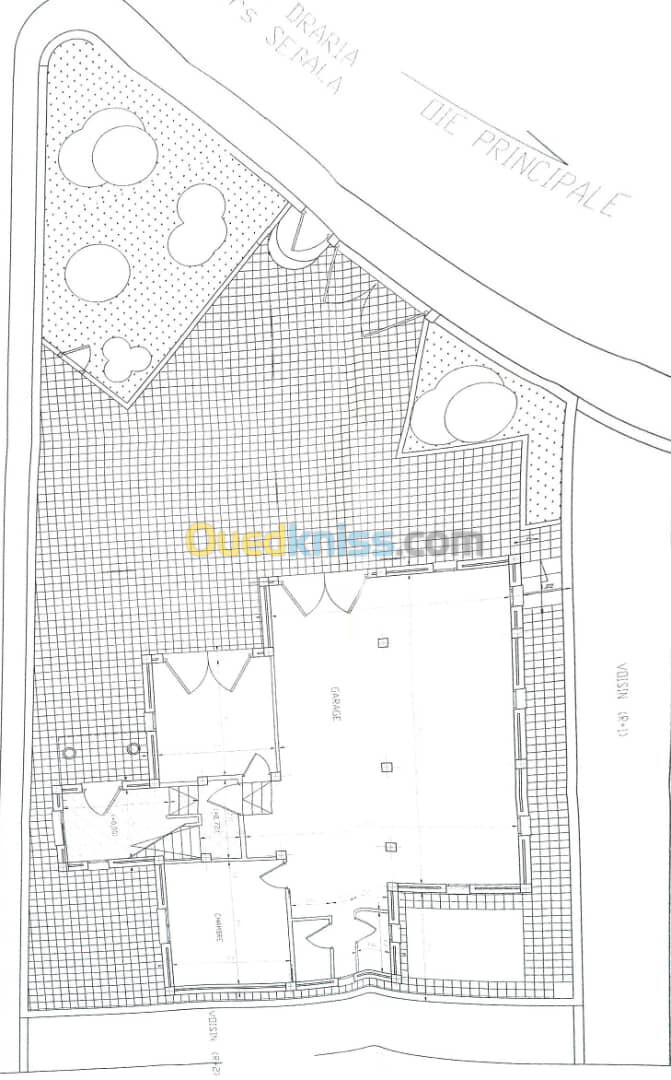 Vente Terrain Blida Sidi moussa