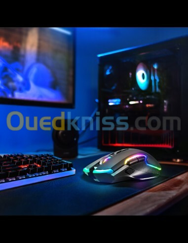 spirit of gamer elite m70 souris sans fils 