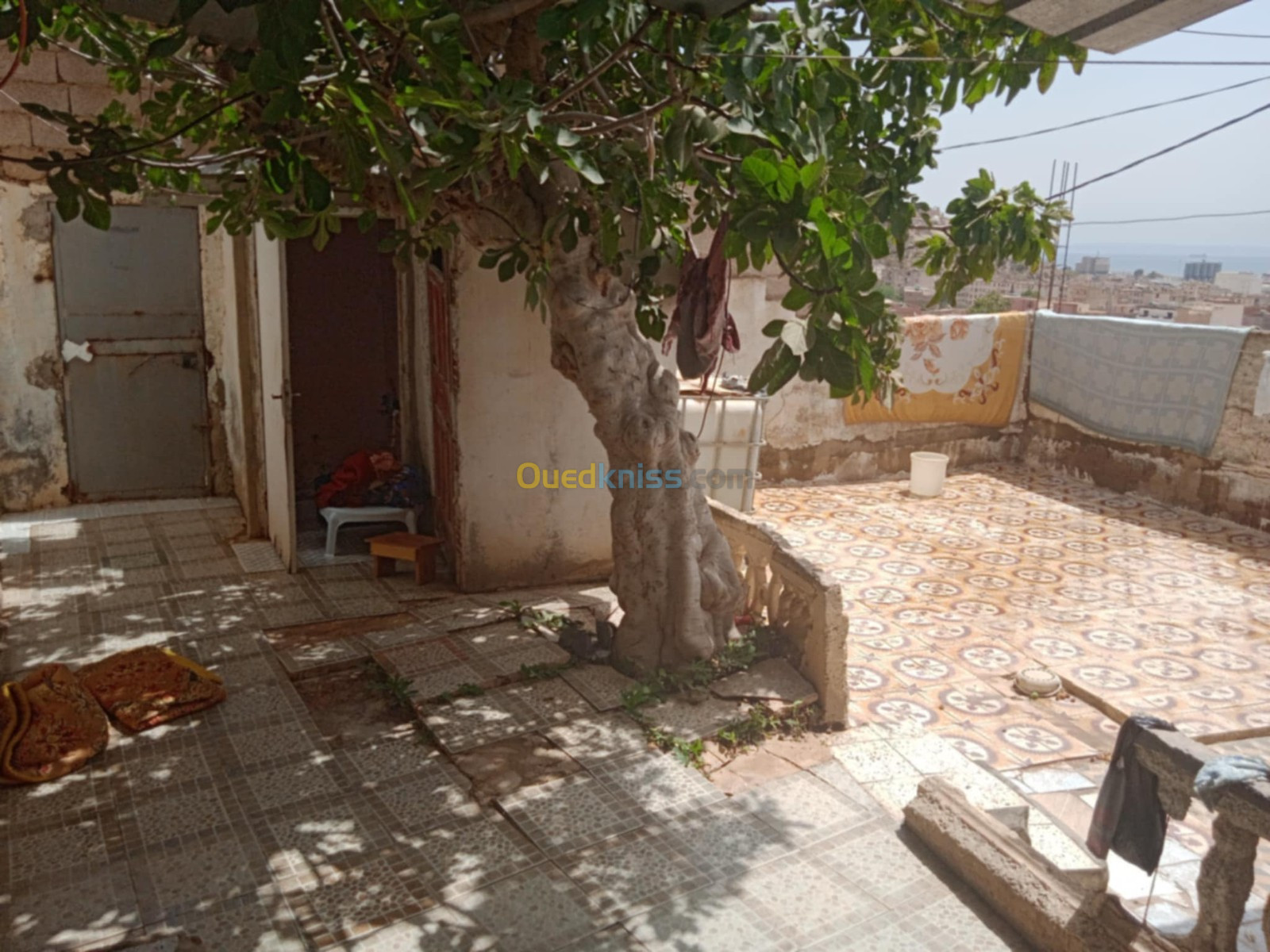 Vente bien immobilier Oran Arzew