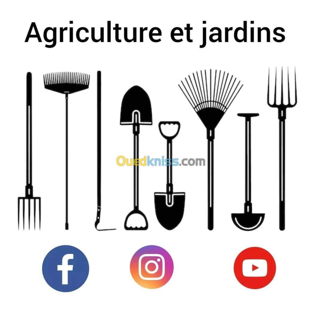 Ingénieur agronome 