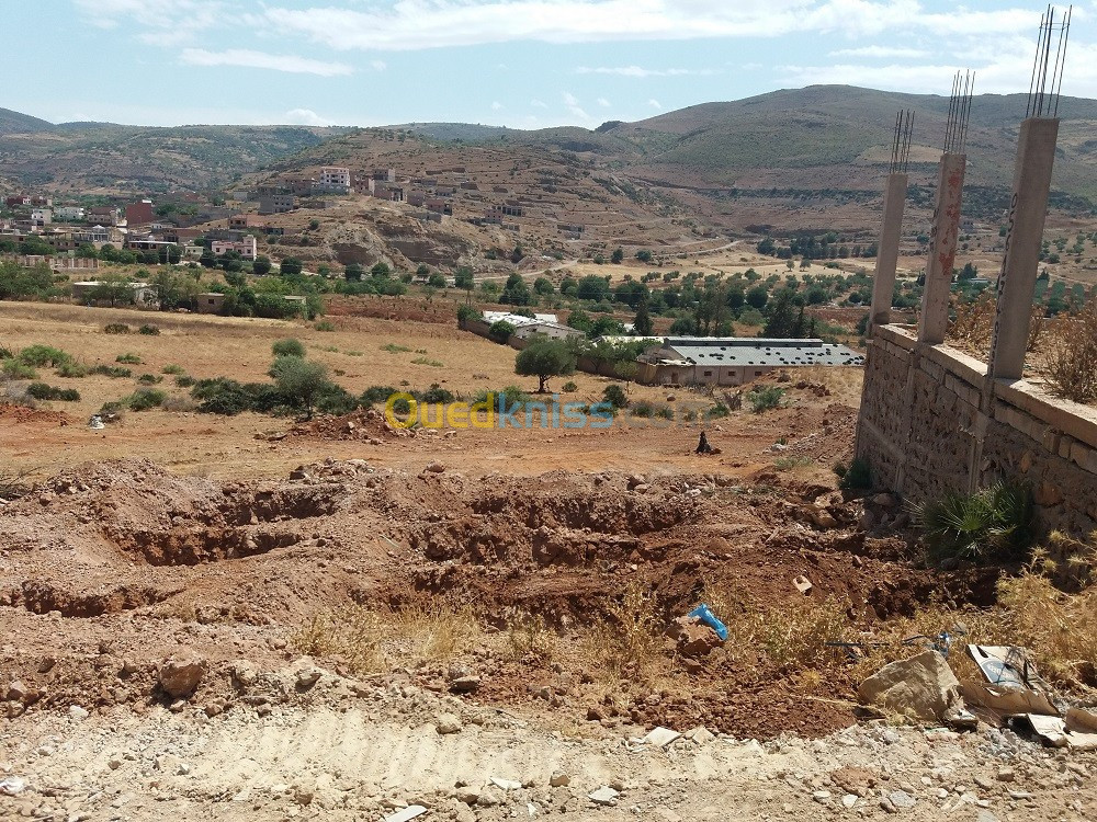 Vente Terrain Tlemcen Beni mester