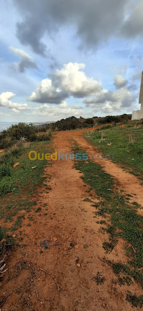 Vente Terrain Tipaza Ain tagourait