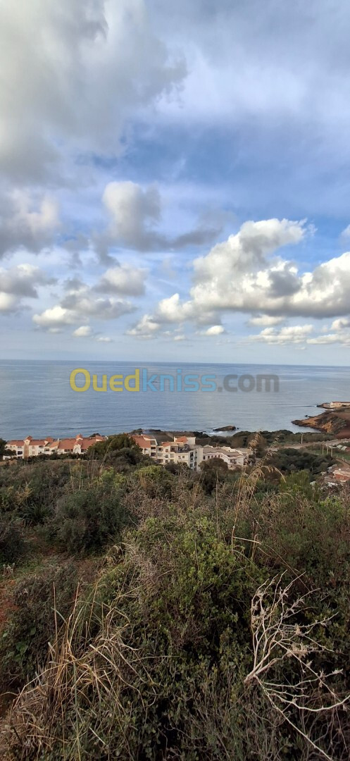 Vente Terrain Tipaza Ain tagourait