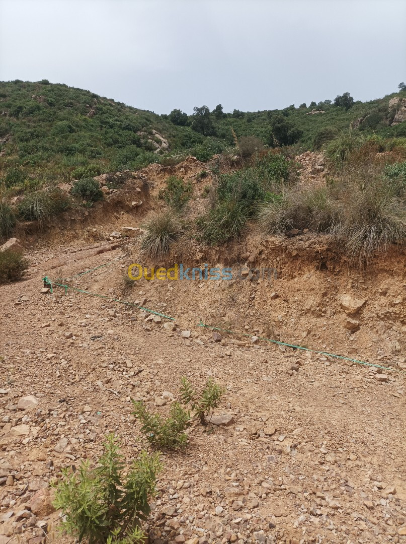 Vente Terrain Béjaïa Oued ghir