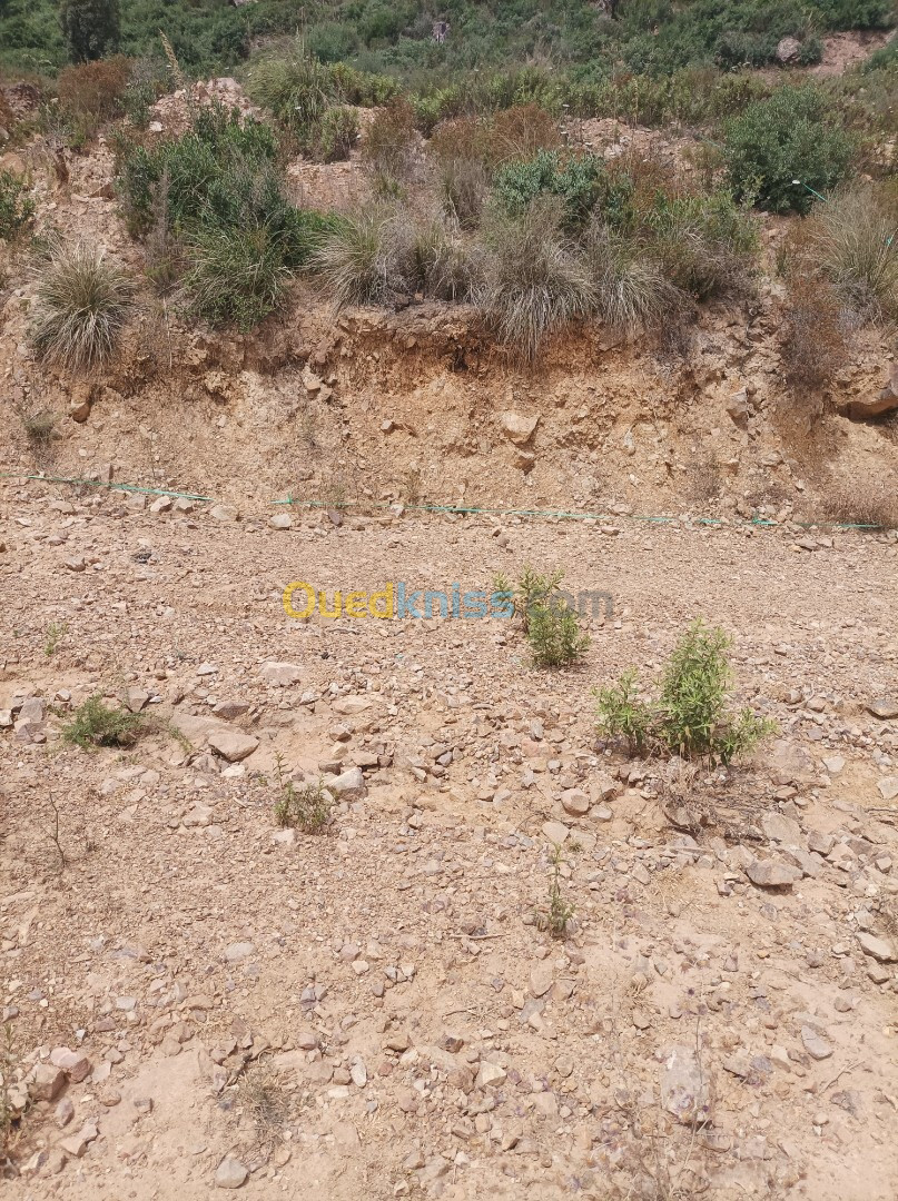 Vente Terrain Béjaïa Oued ghir