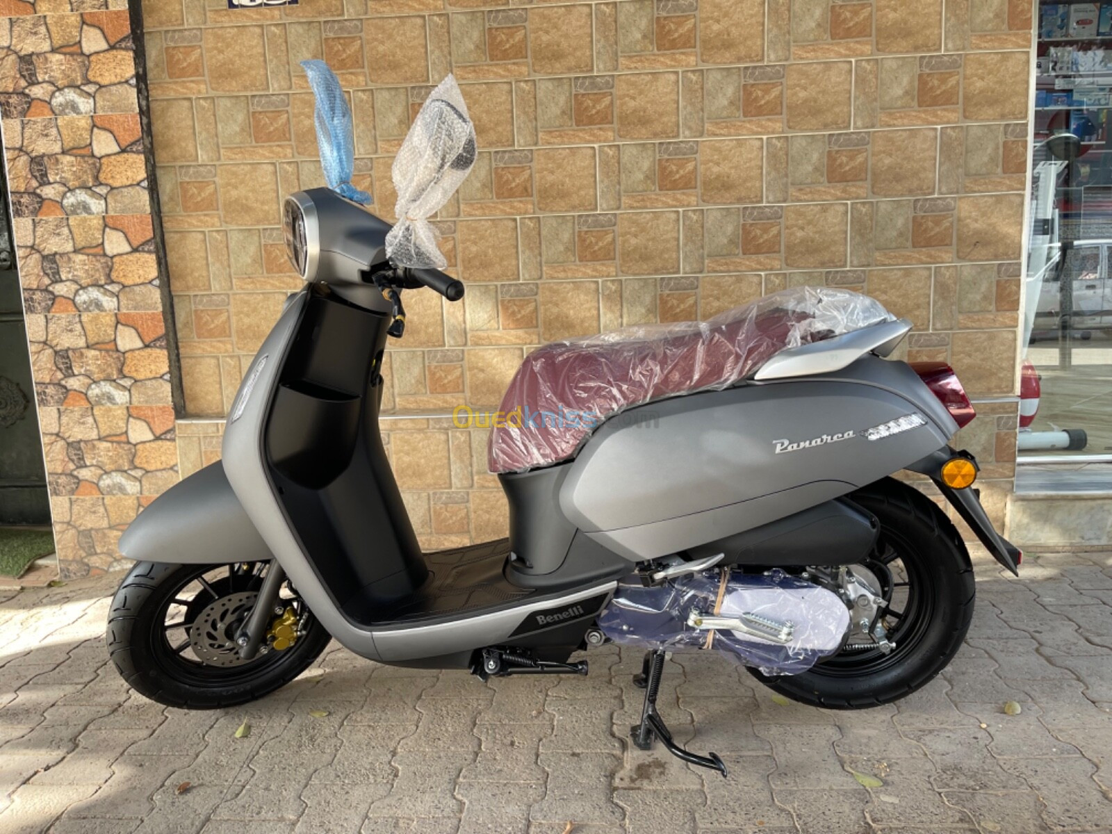 Benelli panaria Vms 2024