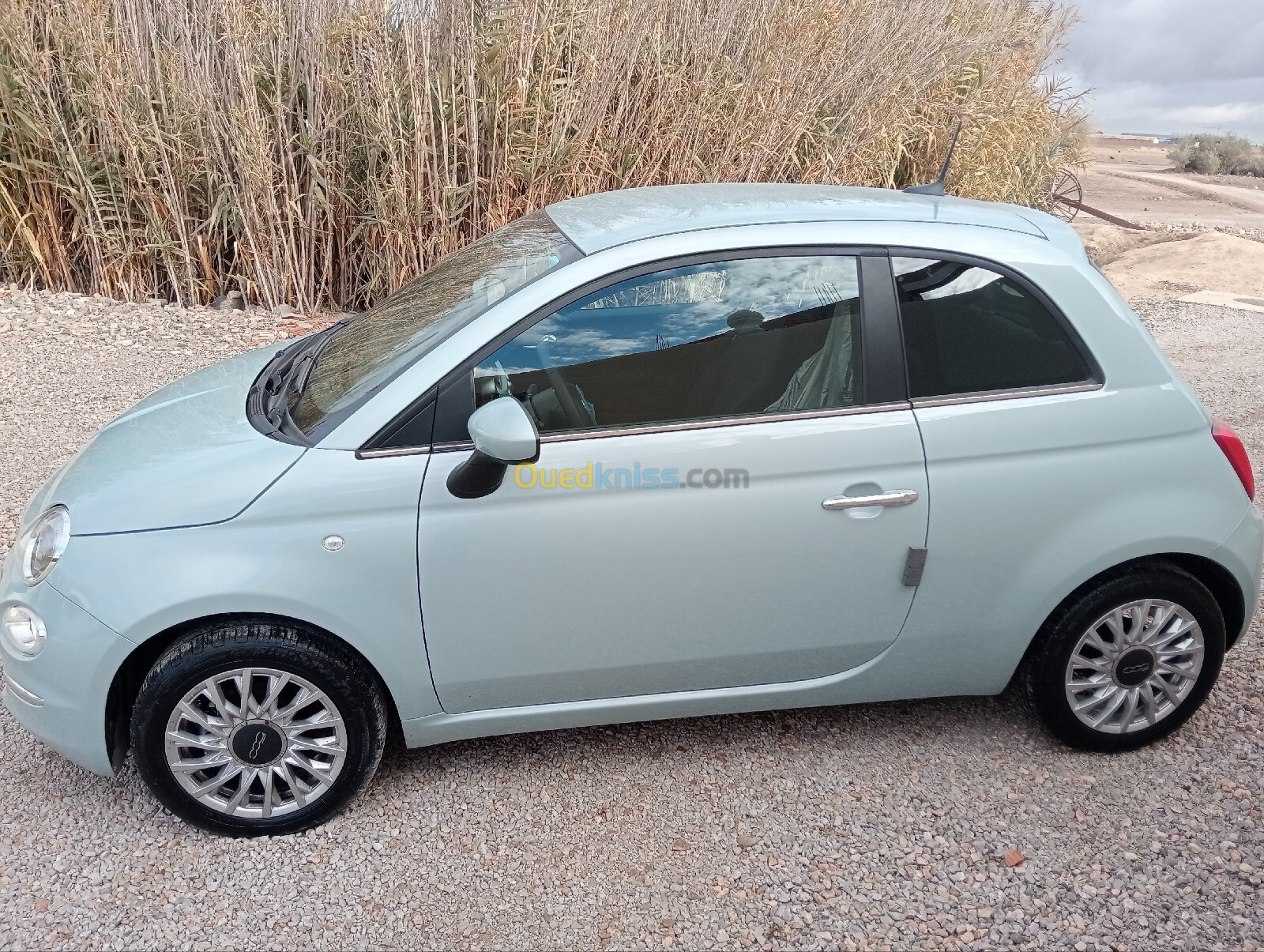 Fiat 500 2024 Clup