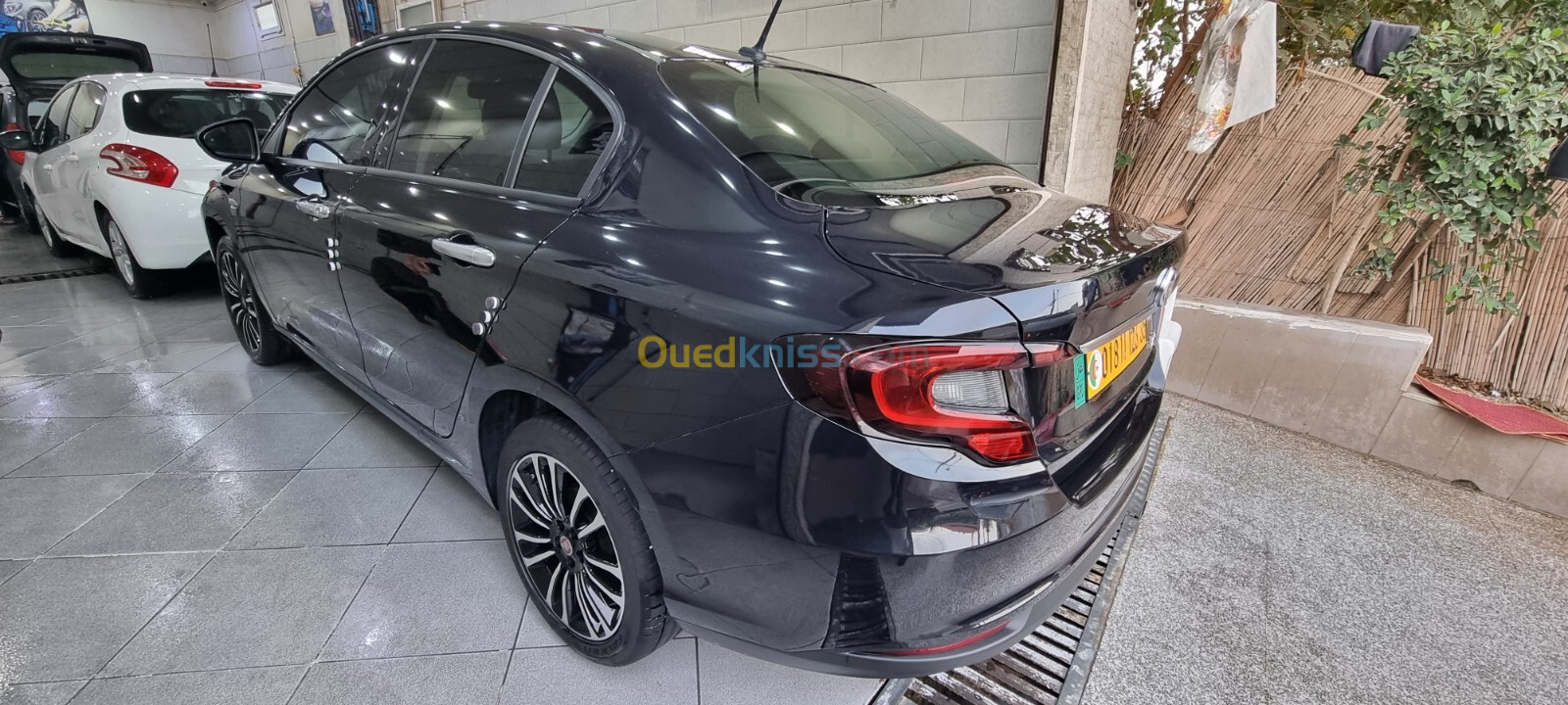 Fiat Tipo 2023 Laif