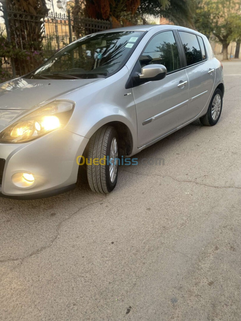 Renault Clio 3 2012 Night and Day