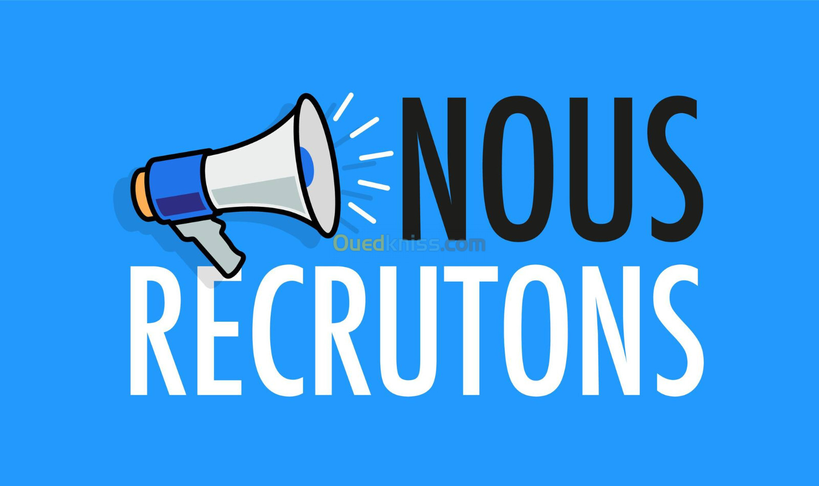 ASSISTANT(E) COMMERCIAL(E) ET MARKETING (SEDENTAIRE)