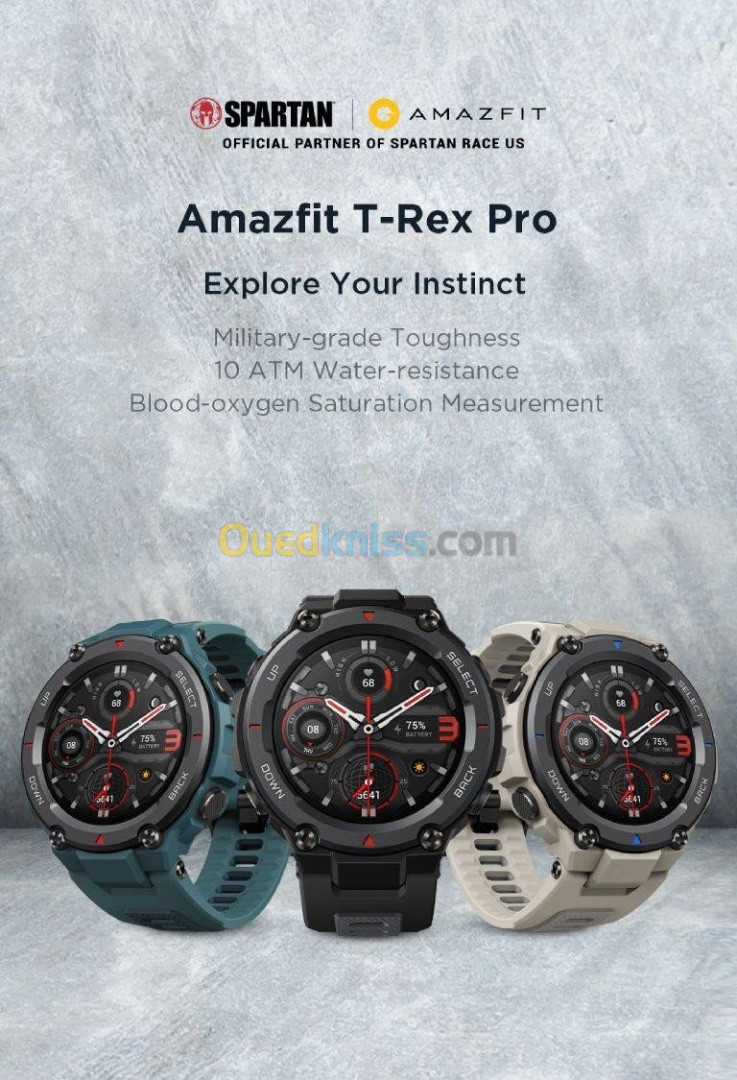 Montre Amazfit T-Rex pro 