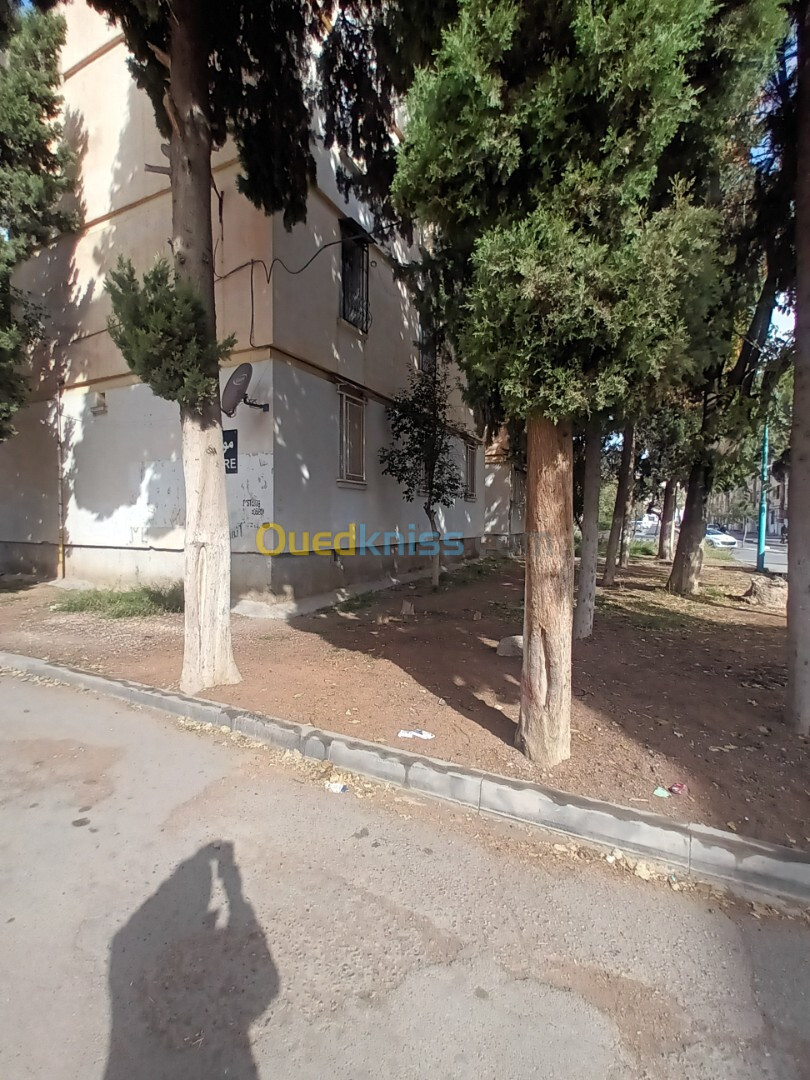 Location Appartement F5 Sétif Setif