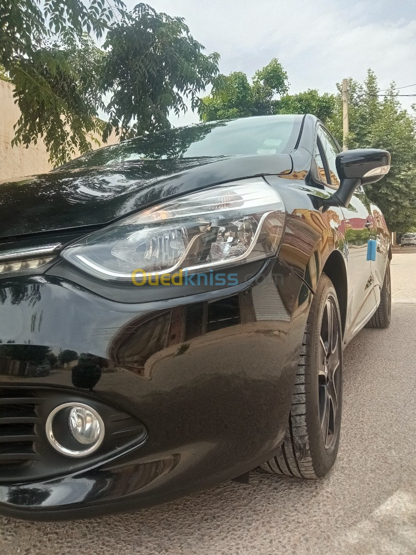 Renault Clio 4 2013 Exception