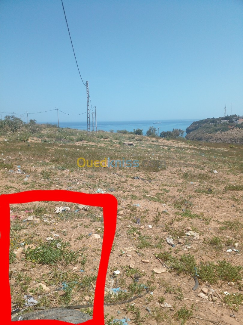 Vente Terrain Tlemcen Ghazaouet