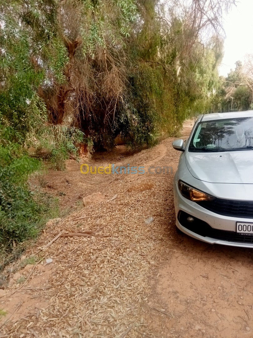 Fiat Tipo Sedan 2023 City ++