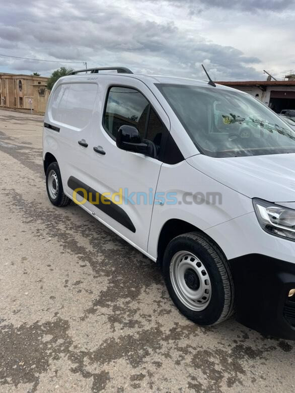 Fiat Doblo 2024 Professionnel