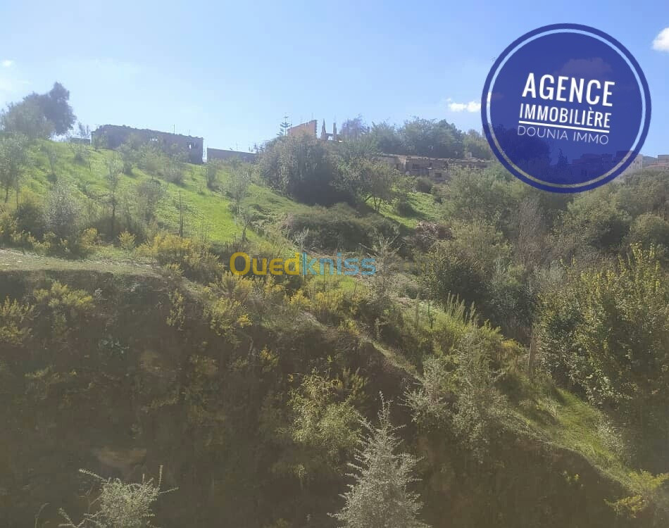 Location Appartement F3 Skikda Skikda