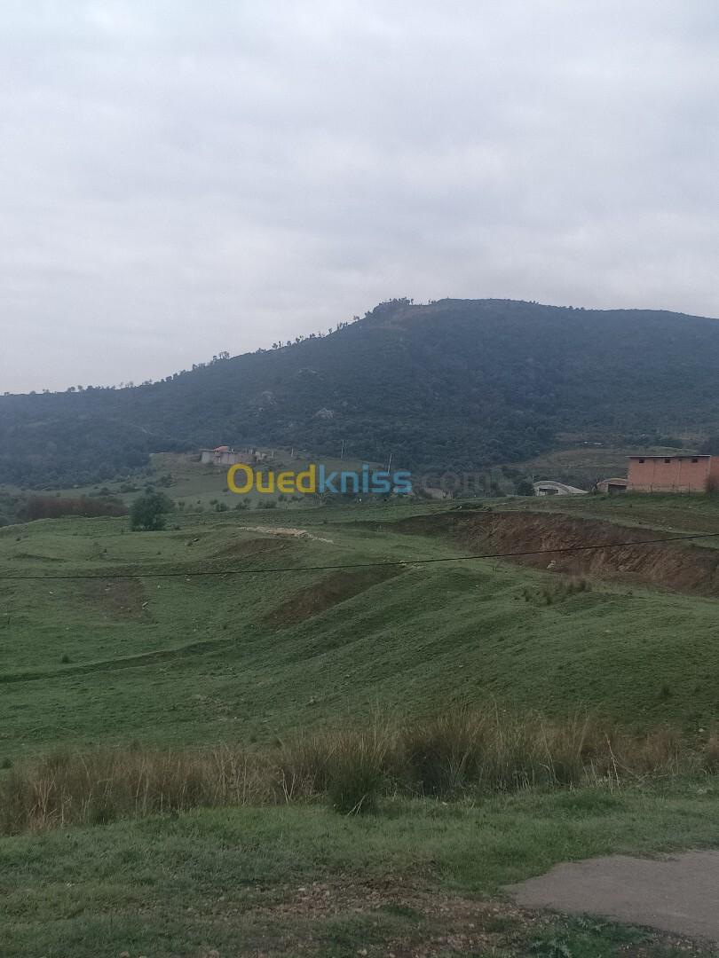 Vente Terrain Béjaïa Oued ghir