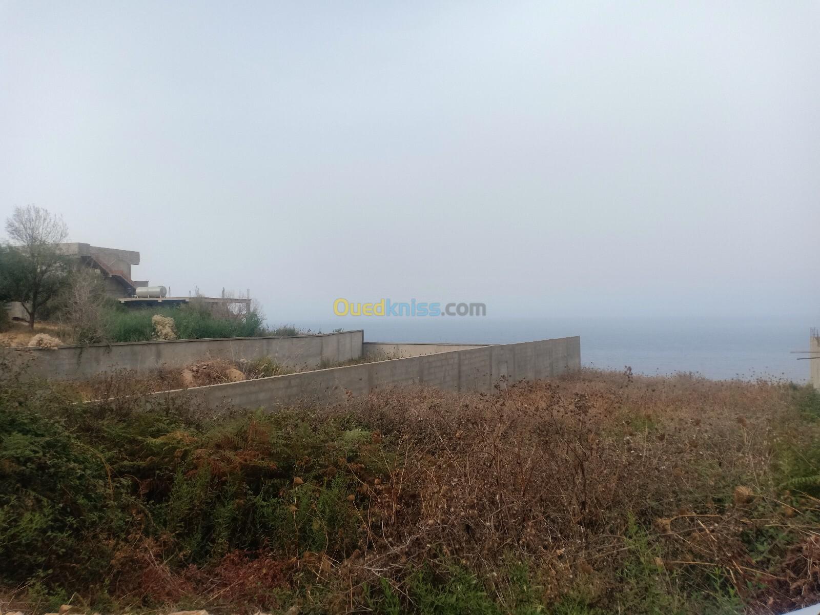 Vente Terrain Bejaia Toudja