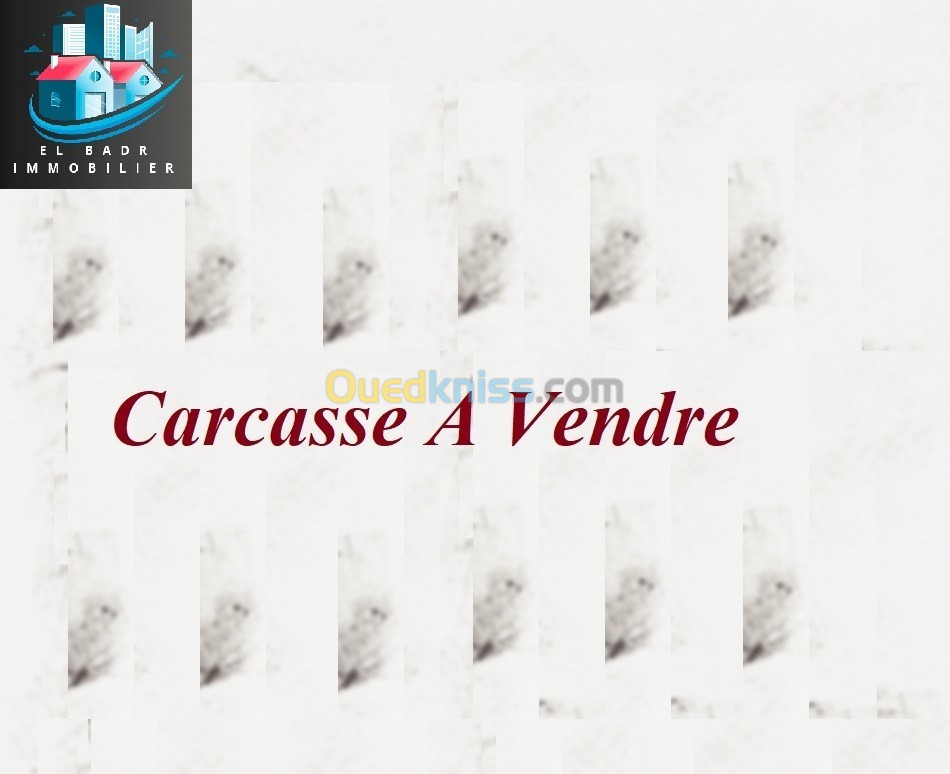 Vente Carcasse Alger Reghaia