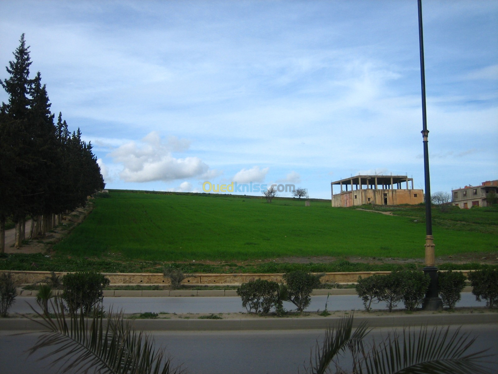 Vente Terrain Médéa Berrouaghia