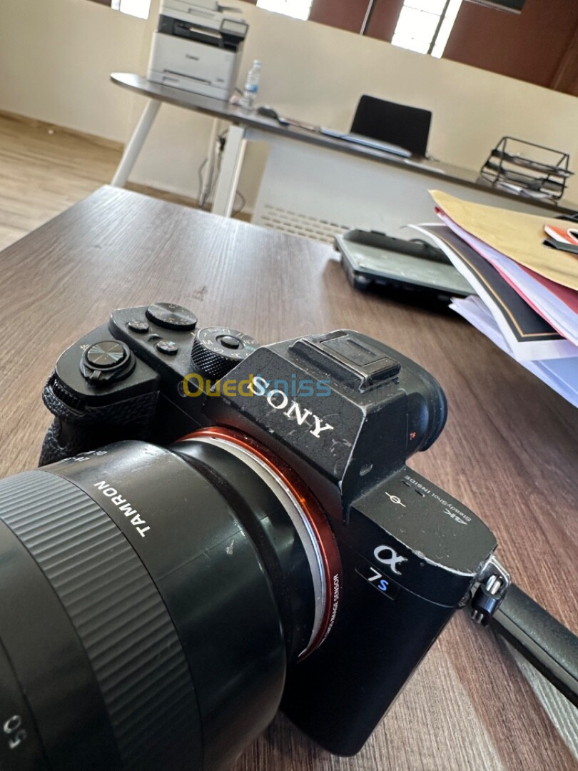 Sony Alpha S II Avec objectif tamron 28-75 mm F/2.8 stabilisateur weebill S