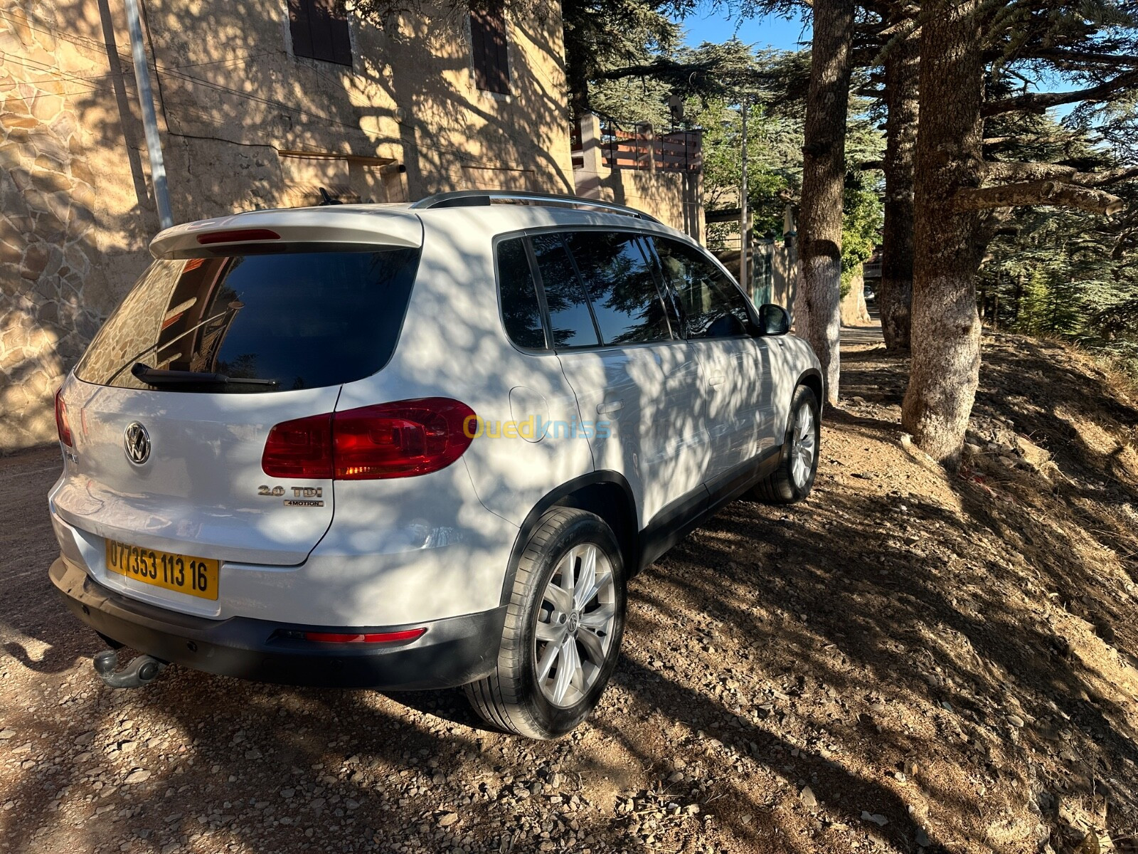 Volkswagen Tiguan 2013 Life