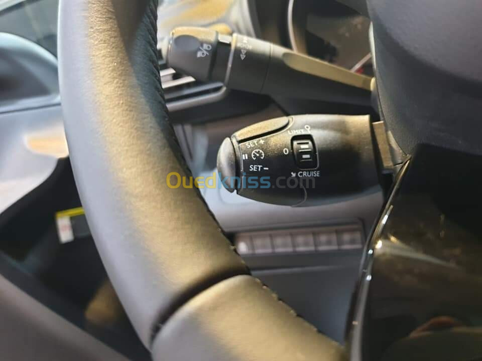 Citroen Berlingo 2019 Berlingo