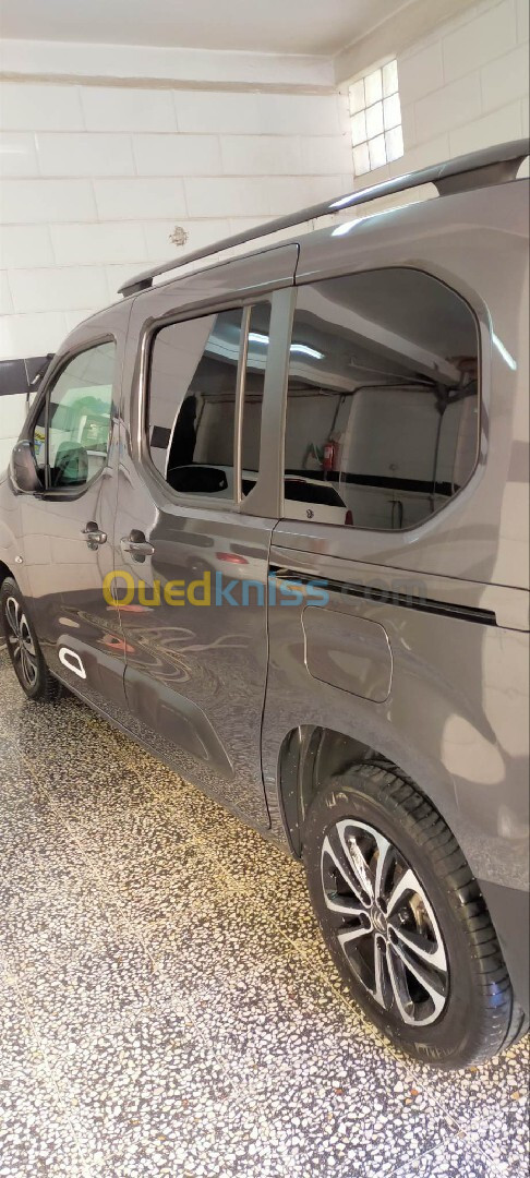 Citroen Berlingo 2019 Berlingo